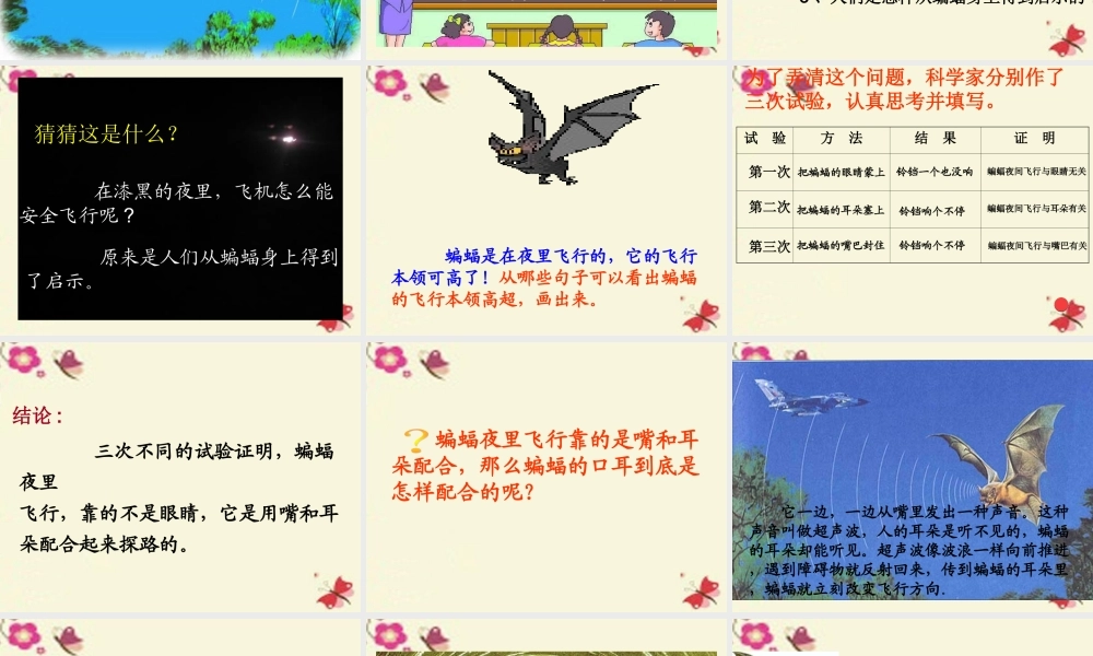三年级语文下册 第6单元 26《蝙蝠和雷达》课件1 沪教版-沪教版小学三年级下册语文课件