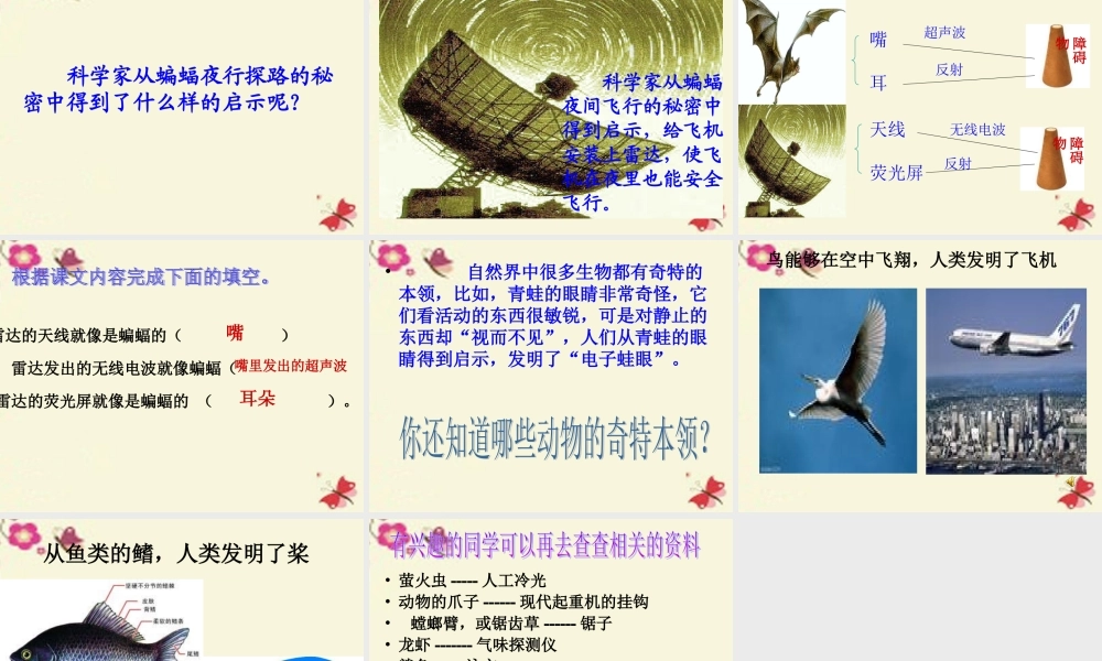 三年级语文下册 第6单元 26《蝙蝠和雷达》课件1 沪教版-沪教版小学三年级下册语文课件