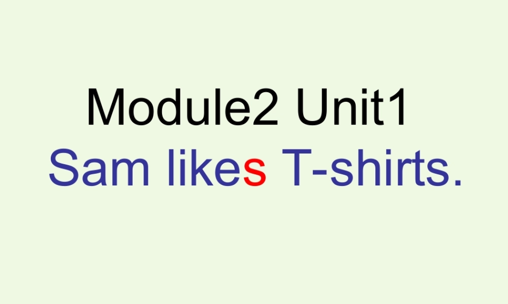 二年级英语上册 Module 4 Unit 1 Sam like T-shirts课件3 外研版（一起）-外研版小学二年级上册英语课件