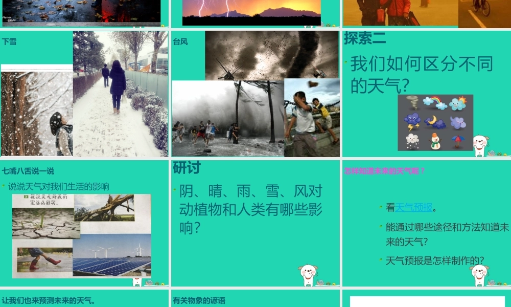 二年级科学上册 1.5 各种各样的天气课件 教科版-教科版小学二年级上册自然科学课件