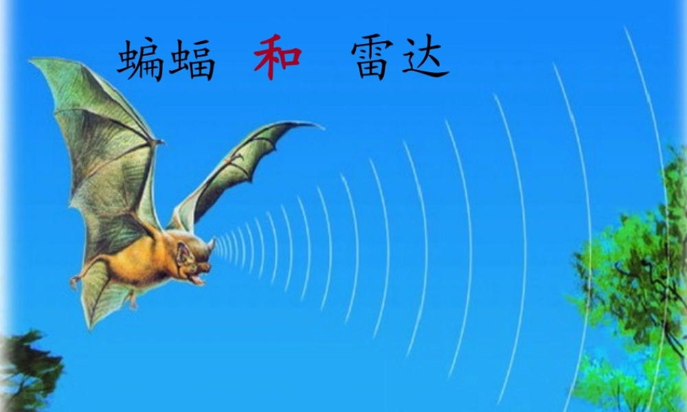 三年级语文下册 第6单元 26《蝙蝠和雷达》课件2 沪教版-沪教版小学三年级下册语文课件