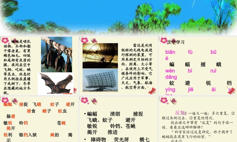 三年级语文下册 第6单元 26《蝙蝠和雷达》课件2 沪教版-沪教版小学三年级下册语文课件