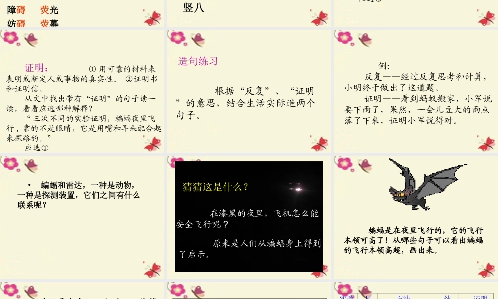 三年级语文下册 第6单元 26《蝙蝠和雷达》课件2 沪教版-沪教版小学三年级下册语文课件