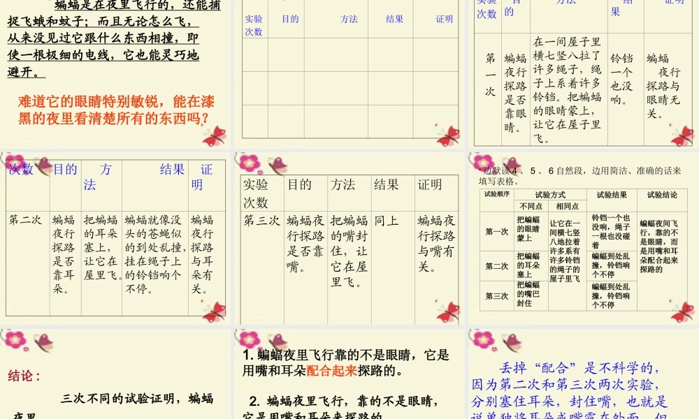 三年级语文下册 第6单元 26《蝙蝠和雷达》课件2 沪教版-沪教版小学三年级下册语文课件