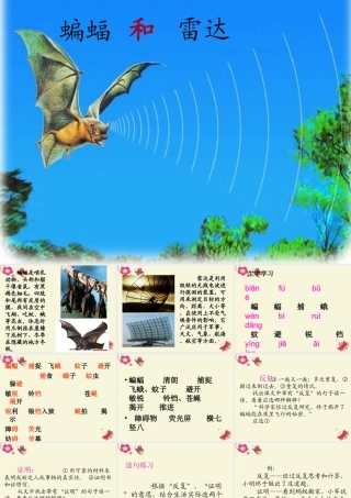 三年级语文下册 第6单元 26《蝙蝠和雷达》课件2 沪教版-沪教版小学三年级下册语文课件