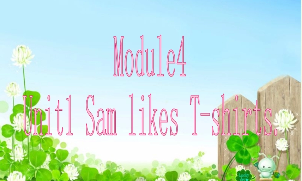 二年级英语上册 Module 4 Unit 1 Sam like T-shirts课件4 外研版（一起）-外研版小学二年级上册英语课件