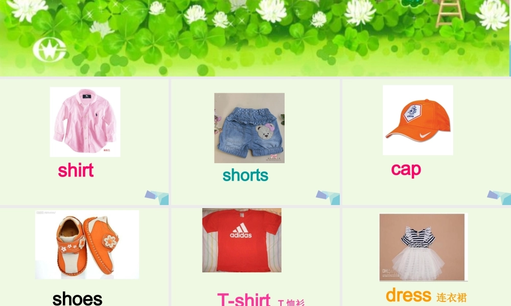 二年级英语上册 Module 4 Unit 1 Sam like T-shirts课件4 外研版（一起）-外研版小学二年级上册英语课件