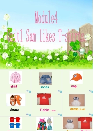 二年级英语上册 Module 4 Unit 1 Sam like T-shirts课件4 外研版（一起）-外研版小学二年级上册英语课件