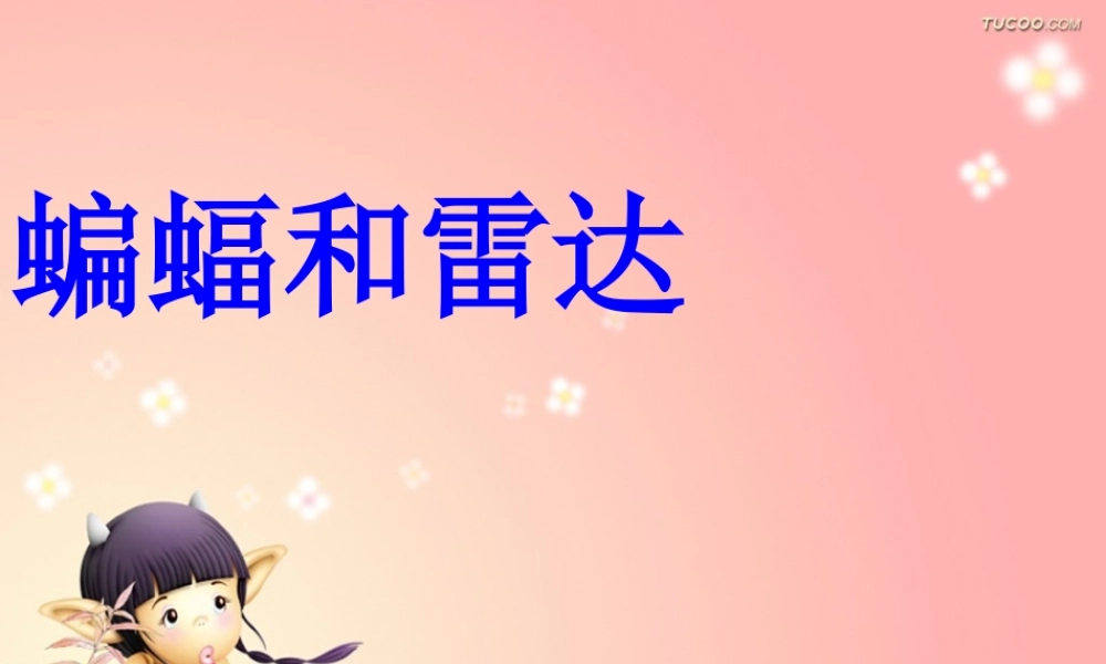 三年级语文下册 第6单元 26《蝙蝠和雷达》课件3 沪教版-沪教版小学三年级下册语文课件