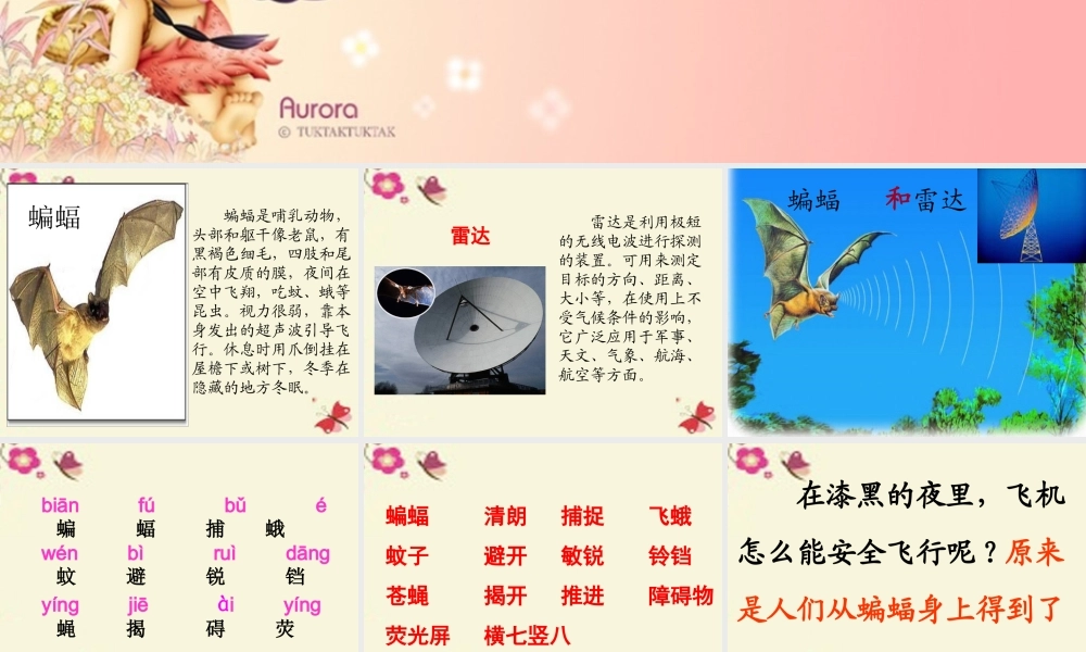 三年级语文下册 第6单元 26《蝙蝠和雷达》课件3 沪教版-沪教版小学三年级下册语文课件