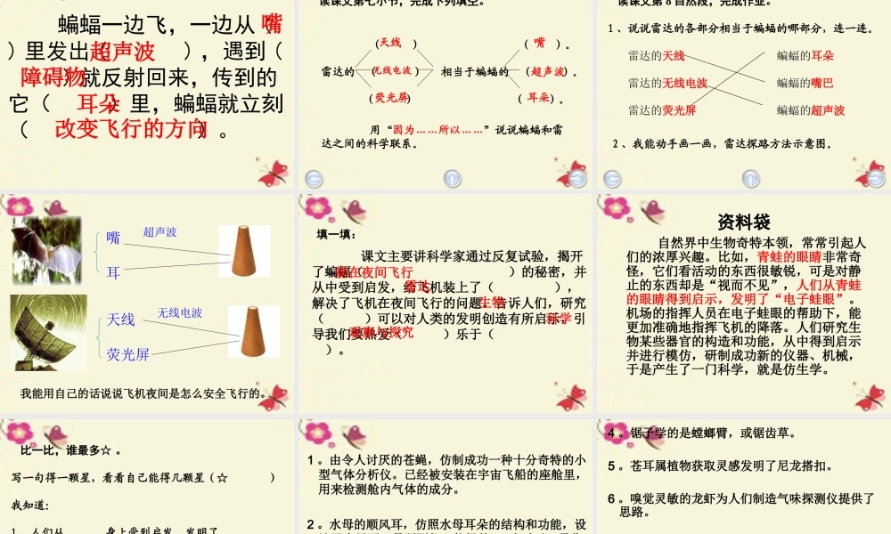 三年级语文下册 第6单元 26《蝙蝠和雷达》课件3 沪教版-沪教版小学三年级下册语文课件