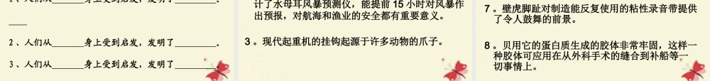三年级语文下册 第6单元 26《蝙蝠和雷达》课件3 沪教版-沪教版小学三年级下册语文课件