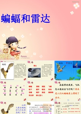 三年级语文下册 第6单元 26《蝙蝠和雷达》课件3 沪教版-沪教版小学三年级下册语文课件