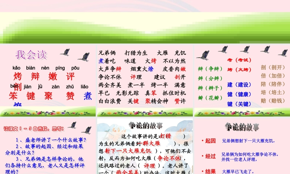 三年级语文下册 第八单元 25争论的故事课件2 苏教版-苏教版小学三年级下册语文课件