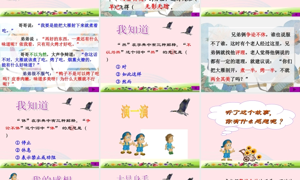 三年级语文下册 第八单元 25争论的故事课件2 苏教版-苏教版小学三年级下册语文课件