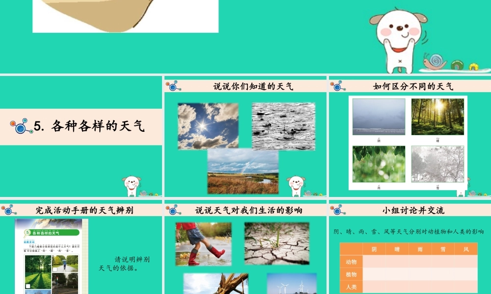 二年级科学上册 1.5各种各样的天气课件 教科版-教科版小学二年级上册自然科学课件