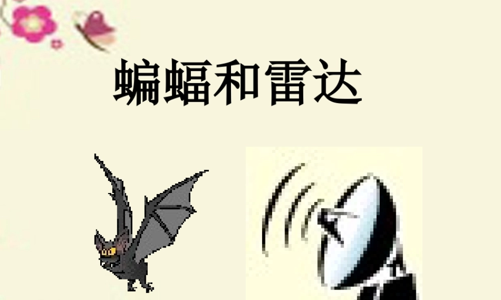 三年级语文下册 第6单元 26《蝙蝠和雷达》课件4 沪教版-沪教版小学三年级下册语文课件