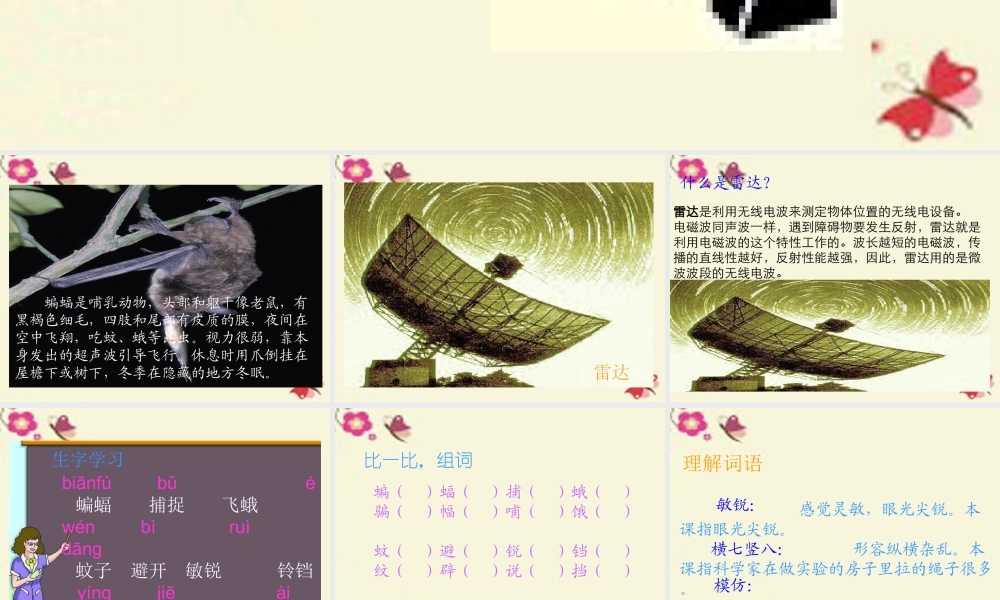 三年级语文下册 第6单元 26《蝙蝠和雷达》课件4 沪教版-沪教版小学三年级下册语文课件