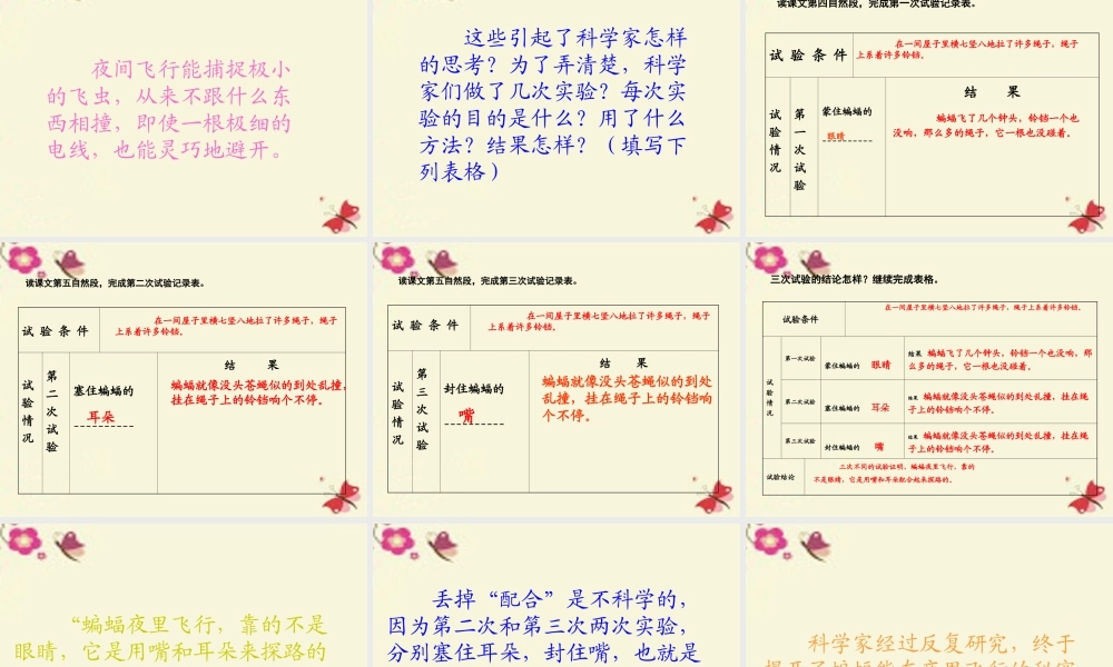 三年级语文下册 第6单元 26《蝙蝠和雷达》课件4 沪教版-沪教版小学三年级下册语文课件