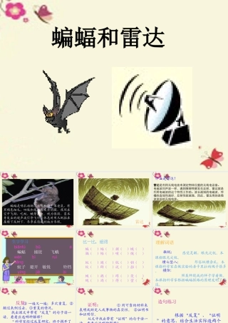 三年级语文下册 第6单元 26《蝙蝠和雷达》课件4 沪教版-沪教版小学三年级下册语文课件