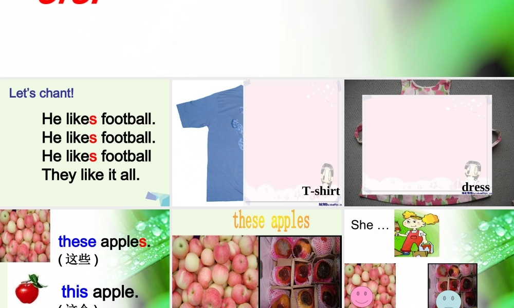 二年级英语上册 Module 4 Unit 2 He doesn’t like these trousers课件1 外研版（一起）-外研版小学二年级上册英语课件