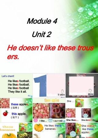 二年级英语上册 Module 4 Unit 2 He doesn’t like these trousers课件1 外研版（一起）-外研版小学二年级上册英语课件