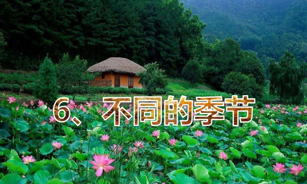 二年级科学上册 1.6 不同的季节课件 教科版-教科版小学二年级上册自然科学课件