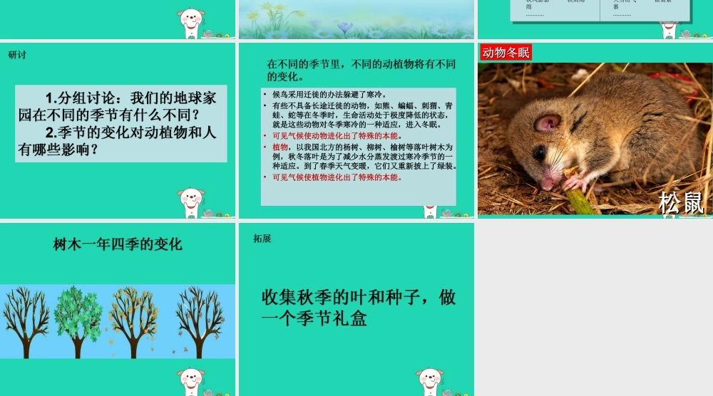 二年级科学上册 1.6 不同的季节课件 教科版-教科版小学二年级上册自然科学课件