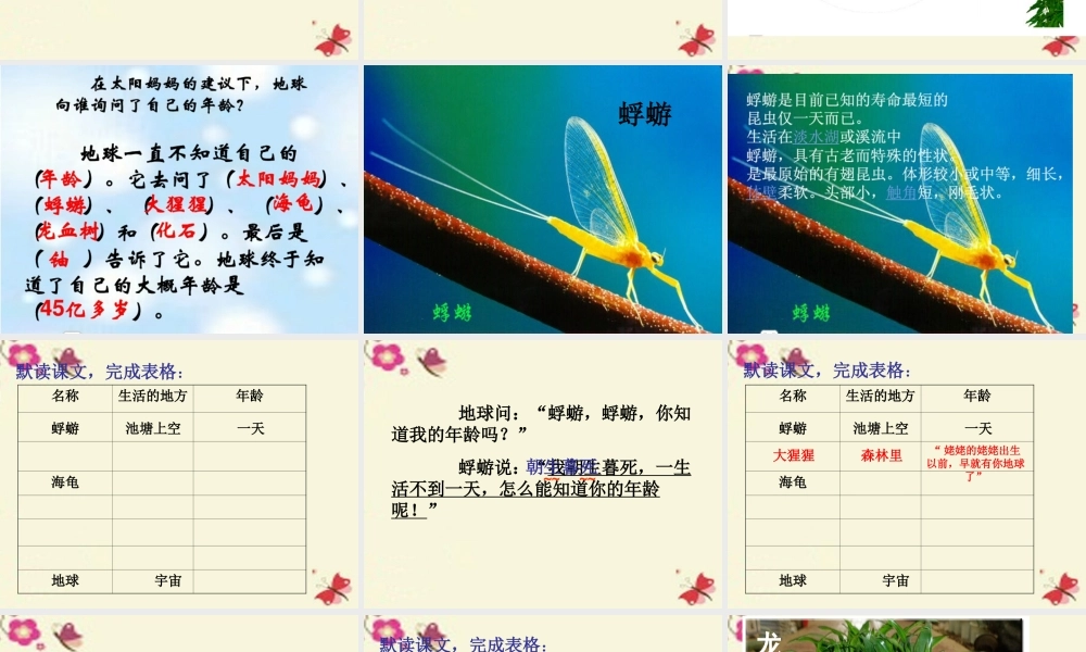 三年级语文下册 第6单元 27《我多大了》课件1 沪教版-沪教版小学三年级下册语文课件
