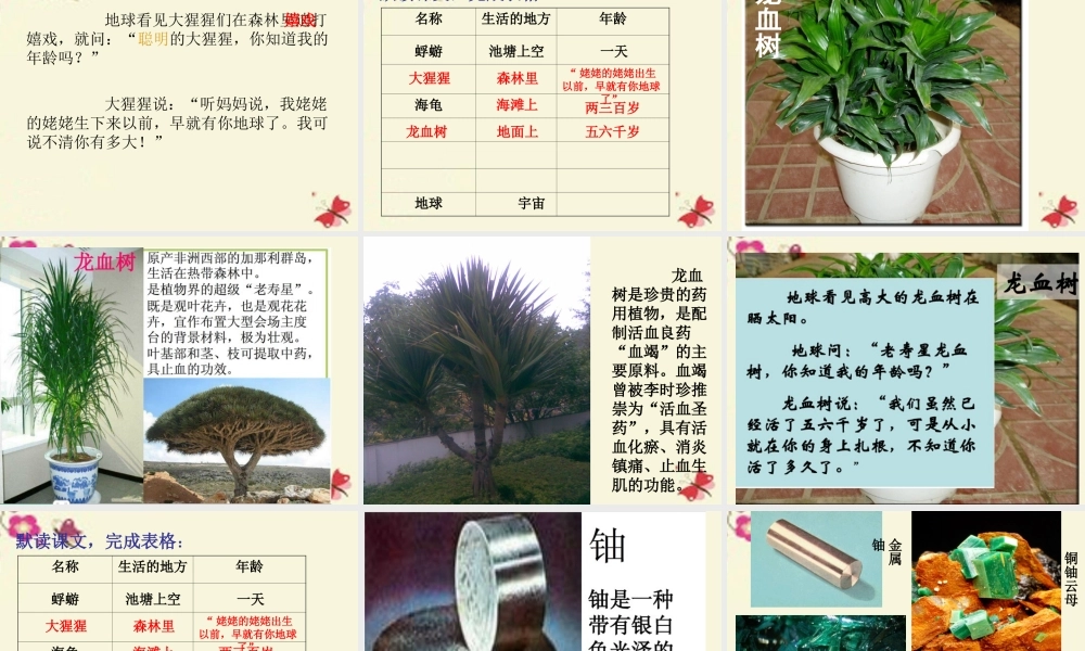 三年级语文下册 第6单元 27《我多大了》课件1 沪教版-沪教版小学三年级下册语文课件