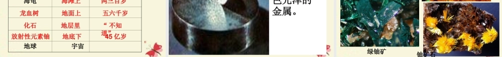 三年级语文下册 第6单元 27《我多大了》课件1 沪教版-沪教版小学三年级下册语文课件