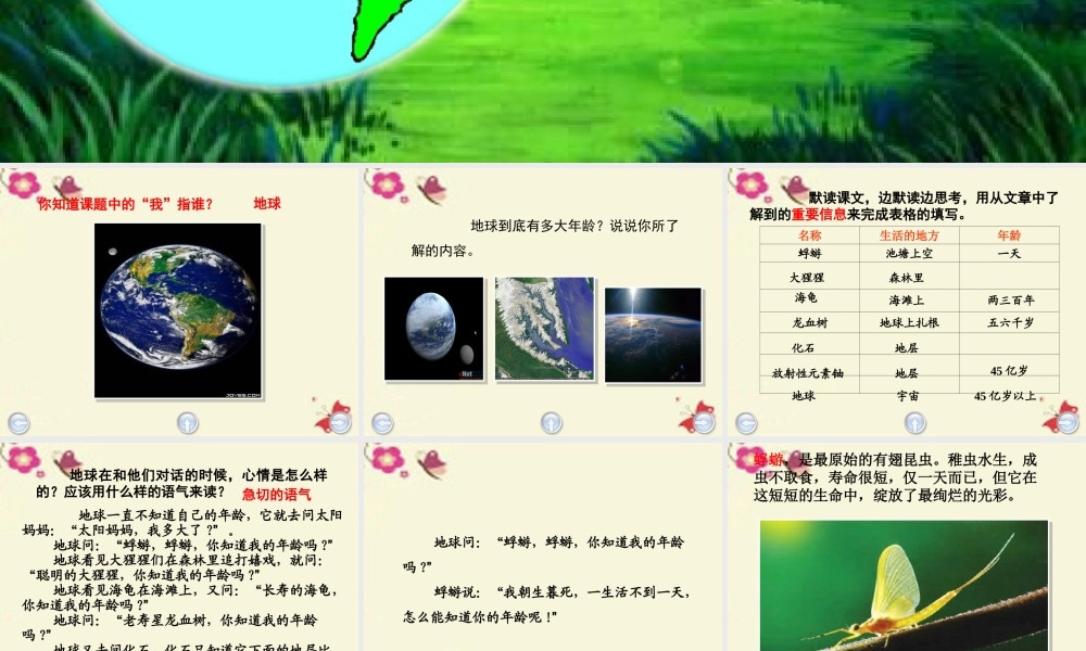 三年级语文下册 第6单元 27《我多大了》课件2 沪教版-沪教版小学三年级下册语文课件