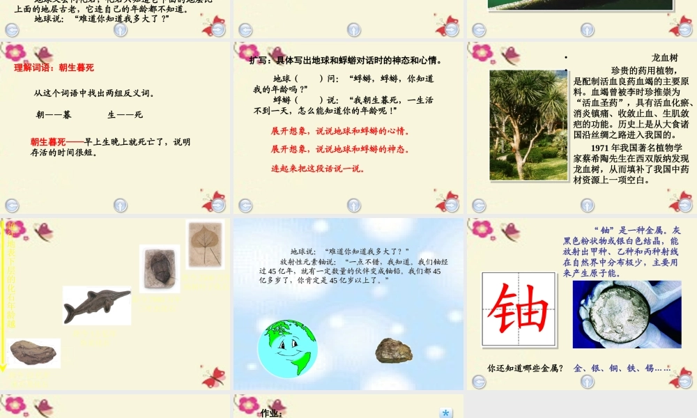 三年级语文下册 第6单元 27《我多大了》课件2 沪教版-沪教版小学三年级下册语文课件