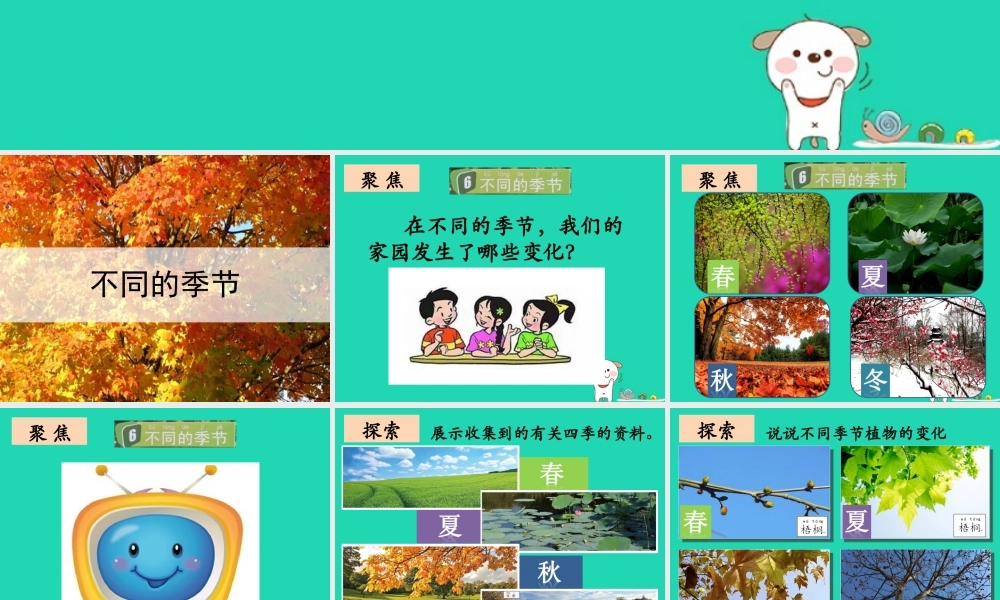 二年级科学上册 1.6《不同的季节》课件1 教科版-教科版小学二年级上册自然科学课件