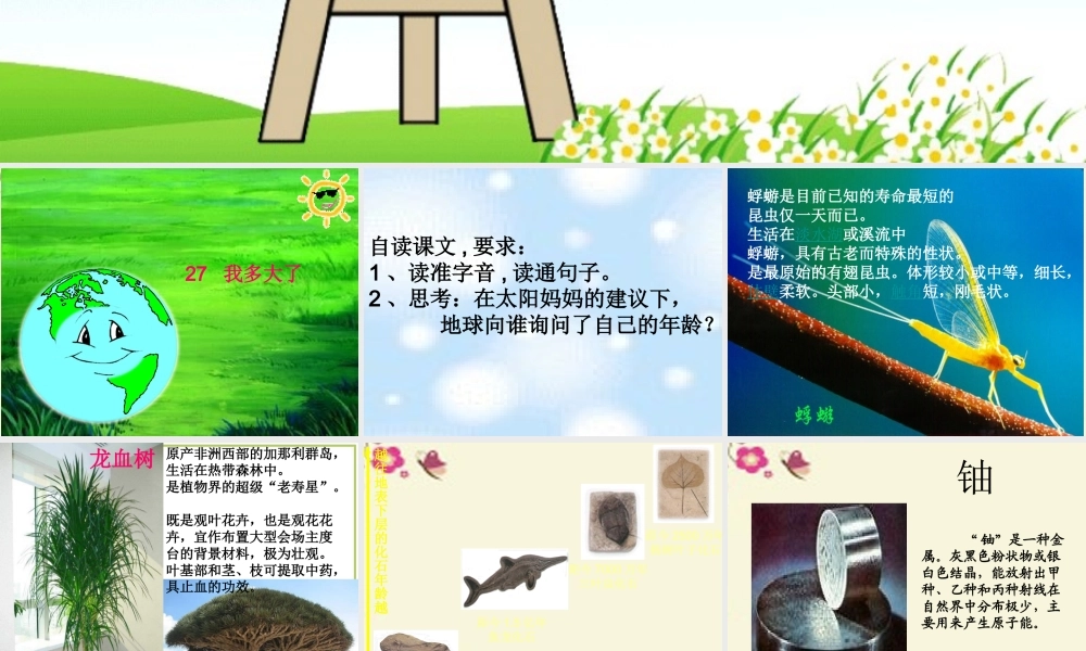 三年级语文下册 第6单元 27《我多大了》课件3 沪教版-沪教版小学三年级下册语文课件