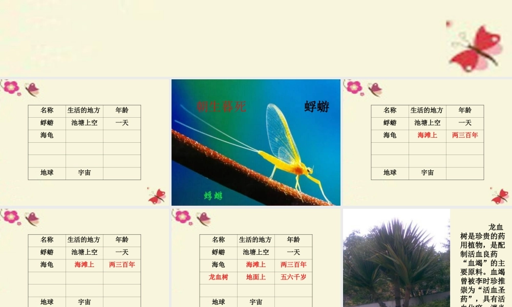 三年级语文下册 第6单元 27《我多大了》课件4 沪教版-沪教版小学三年级下册语文课件
