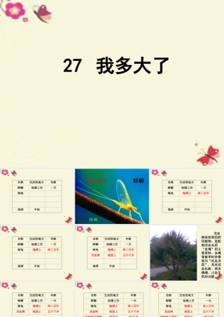 三年级语文下册 第6单元 27《我多大了》课件4 沪教版-沪教版小学三年级下册语文课件