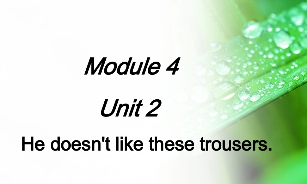 二年级英语上册 Module 4 Unit 2 He doesn’t like these trousers课件4 外研版（一起）-外研版小学二年级上册英语课件