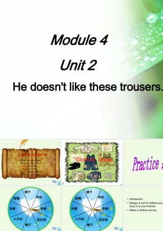 二年级英语上册 Module 4 Unit 2 He doesn’t like these trousers课件4 外研版（一起）-外研版小学二年级上册英语课件