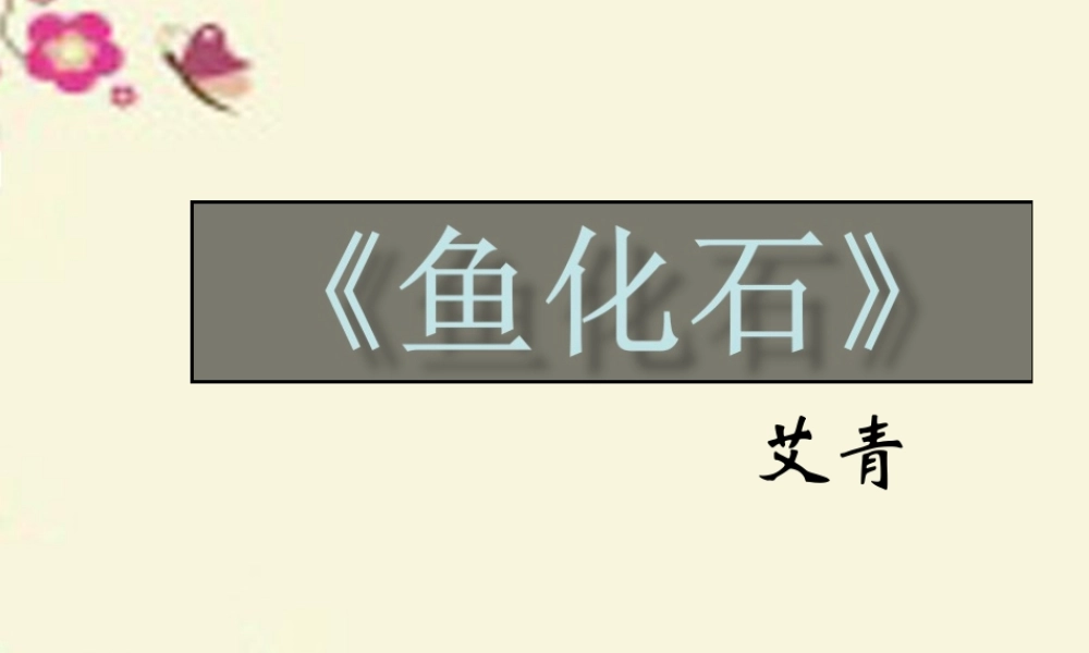 三年级语文下册 第6单元 28《鱼化石》课件1 沪教版-沪教版小学三年级下册语文课件