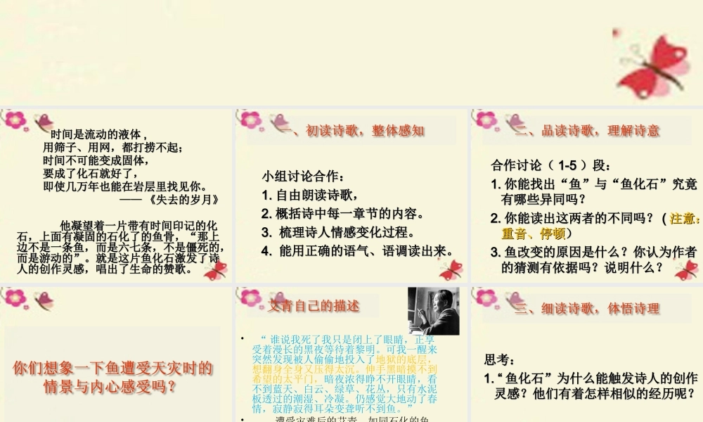 三年级语文下册 第6单元 28《鱼化石》课件1 沪教版-沪教版小学三年级下册语文课件