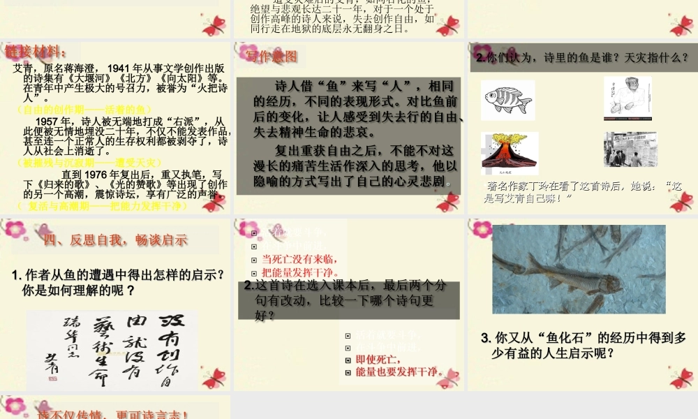 三年级语文下册 第6单元 28《鱼化石》课件1 沪教版-沪教版小学三年级下册语文课件