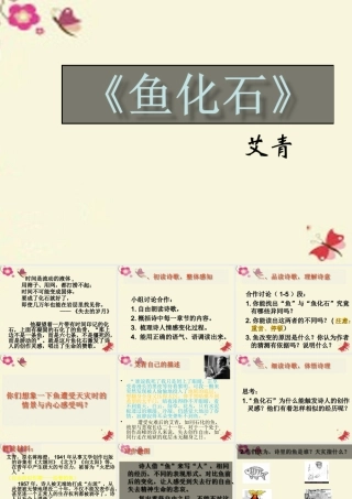 三年级语文下册 第6单元 28《鱼化石》课件1 沪教版-沪教版小学三年级下册语文课件