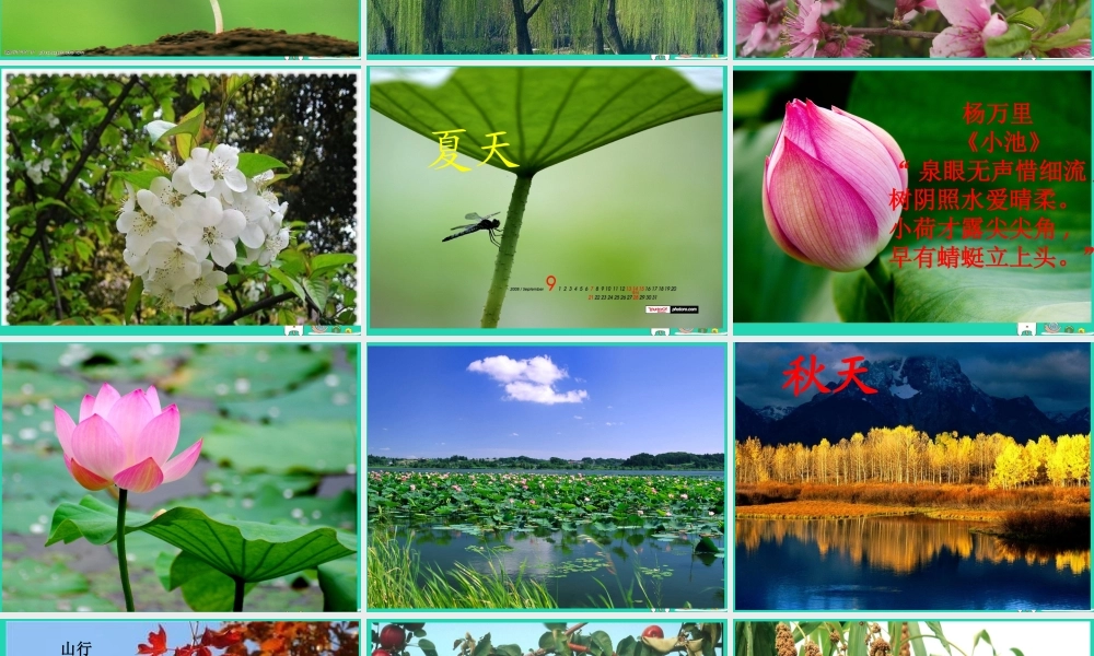 二年级科学上册 1.6《不同的季节》课件2 教科版-教科版小学二年级上册自然科学课件