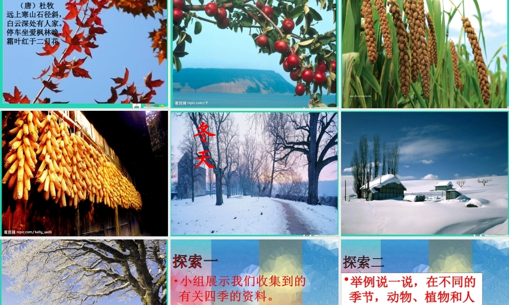 二年级科学上册 1.6《不同的季节》课件2 教科版-教科版小学二年级上册自然科学课件