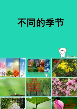 二年级科学上册 1.6《不同的季节》课件2 教科版-教科版小学二年级上册自然科学课件