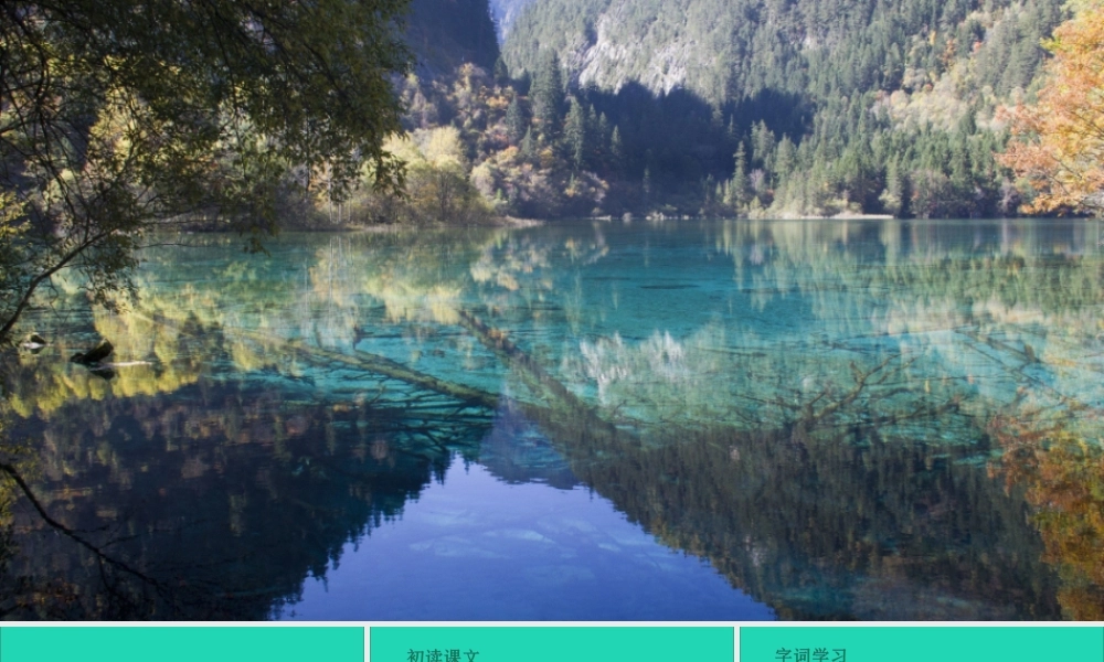 三年级语文下册 第七单元 22《我们奇妙的世界》教学课件 新人教版-新人教版小学三年级下册语文课件