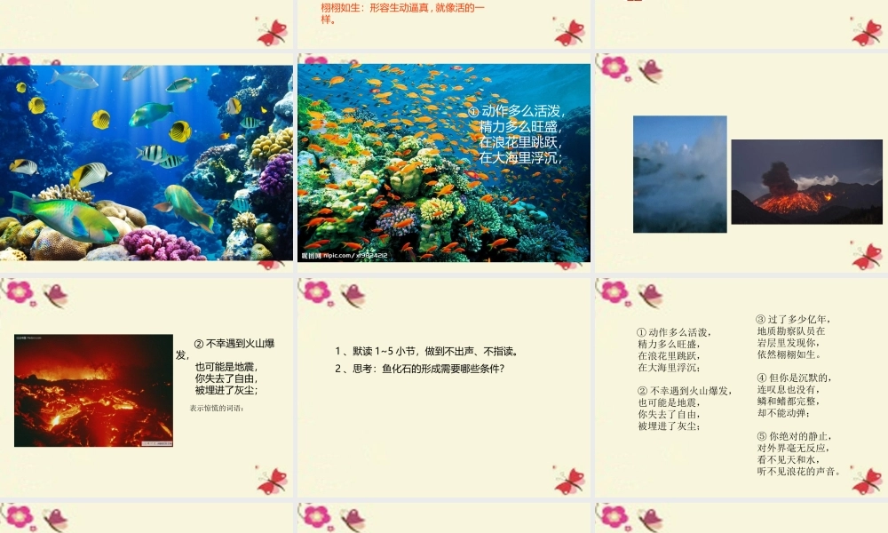 三年级语文下册 第6单元 28《鱼化石》课件2 沪教版-沪教版小学三年级下册语文课件