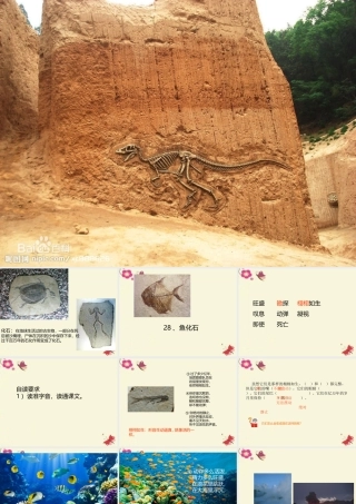 三年级语文下册 第6单元 28《鱼化石》课件2 沪教版-沪教版小学三年级下册语文课件