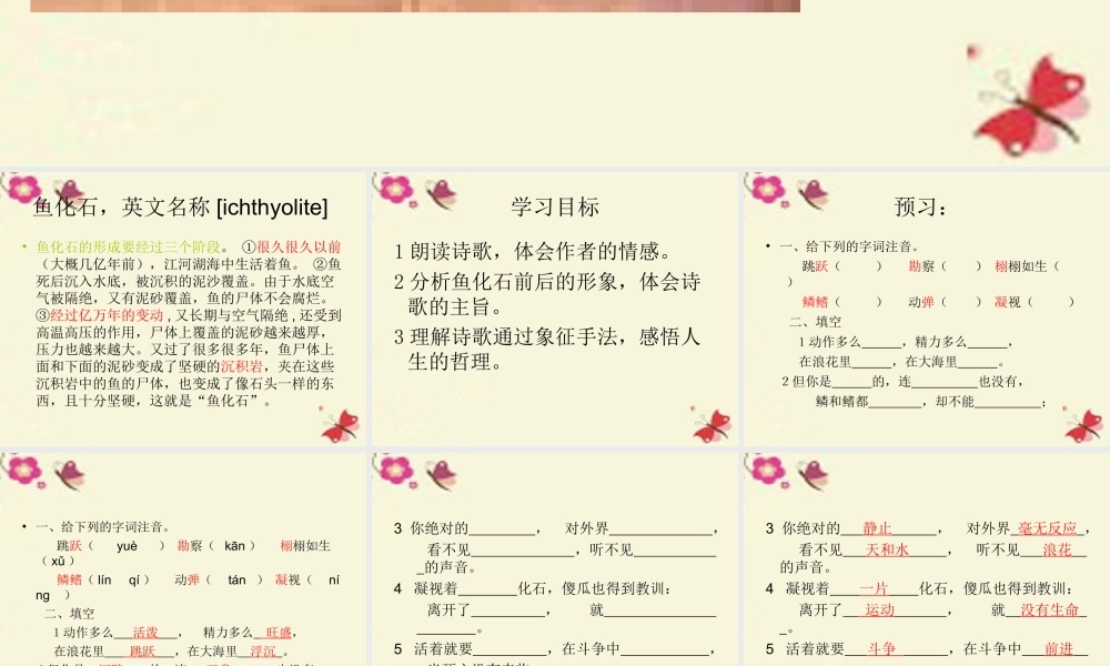 三年级语文下册 第6单元 28《鱼化石》课件3 沪教版-沪教版小学三年级下册语文课件